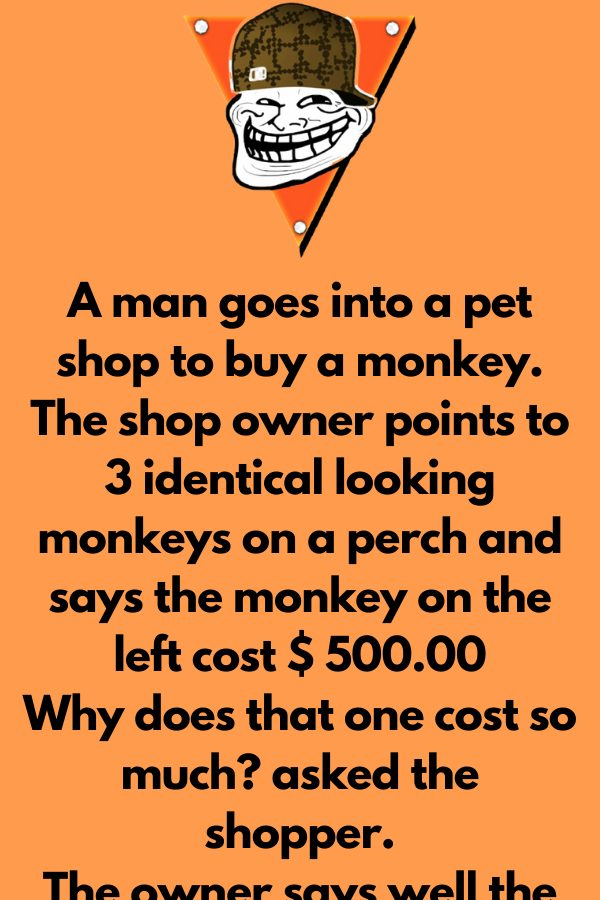 A man goes into a pet shop to buy a monkey - Poster Diary