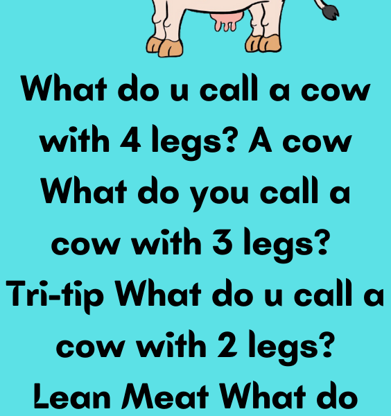 What do u call a cow with 4 legs - Poster Diary